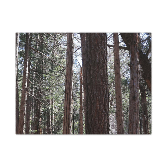 Vertical Sentinels - Unique Frameless Canvas Wall Art - Art By Earth