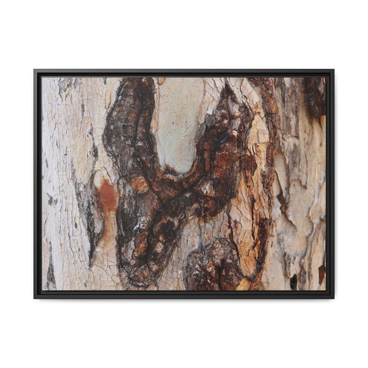 Texture of Time - Unique Stretched Canvas Wall Art - Art By Earth