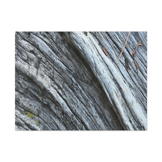 Aged Surface - Unique Frameless Canvas Wall Art - Art By Earth