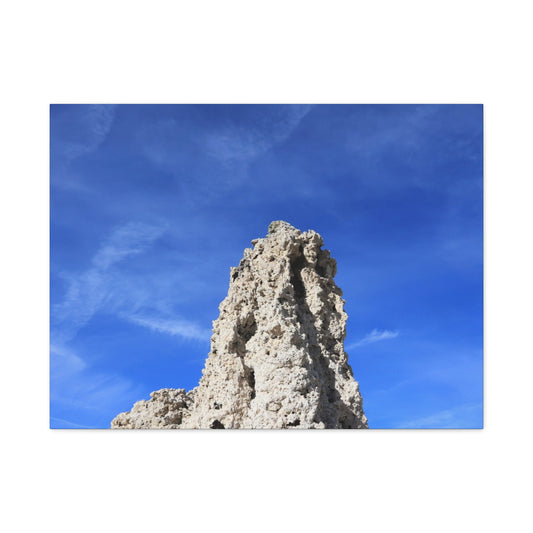 Reaching Skyward - Unique Frameless Canvas Wall Art