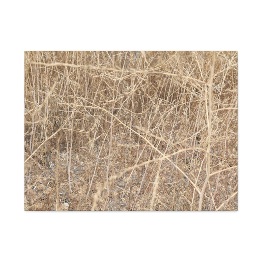 Dry Echoes - Unique Frameless Canvas Wall Art - Art By Earth