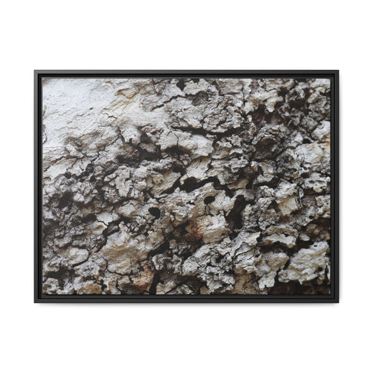 Cracked Terrain - Unique Stretched Canvas Wall Art - Art By Earth