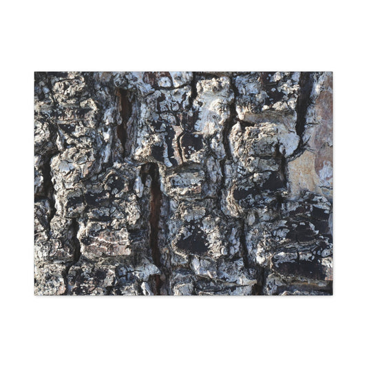 Textured Whispers of the Ancient Tree - Unique Frameless Canvas Wall Art - Art By Earth