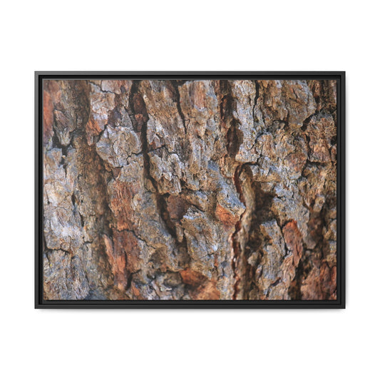 Craggy Textures - Unique Stretched Canvas Wall Art - Art By Earth
