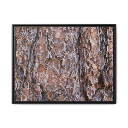Woody Layers - Unique Stretched Canvas Wall Art - Art By Earth