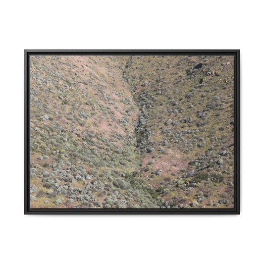 Mountain Slope with Desert Vegetation - Unique Stretched Canvas Wall Art - Art By Earth