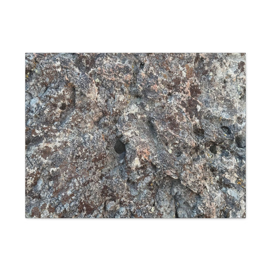 Rust and Granite - Unique Frameless Canvas Wall Art - Art By Earth