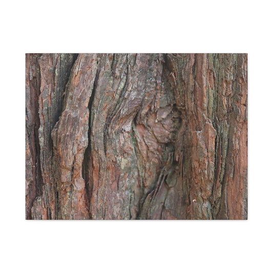 Rustic Embrace - Unique Frameless Canvas Wall Art - Art By Earth