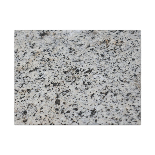 Speckled Silence - Unique Frameless Canvas Wall Art - Art By Earth