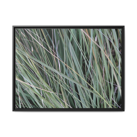Grassland Symphony - Unique Stretched Canvas Wall Art - Art By Earth