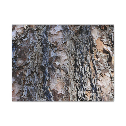 Bark's Rugged Symphony - Unique Frameless Canvas Wall Art - Art By Earth