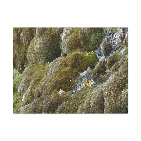 Verdant Stone Symphony - Unique Frameless Canvas Wall Art