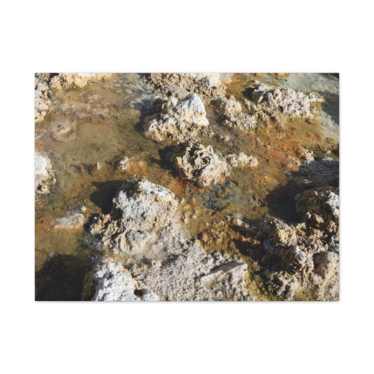 Strata of Decay - Unique Frameless Canvas Wall Art - Art By Earth