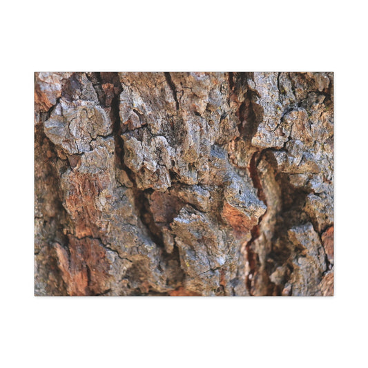 Nature's Skin - Unique Frameless Canvas Wall Art - Art By Earth