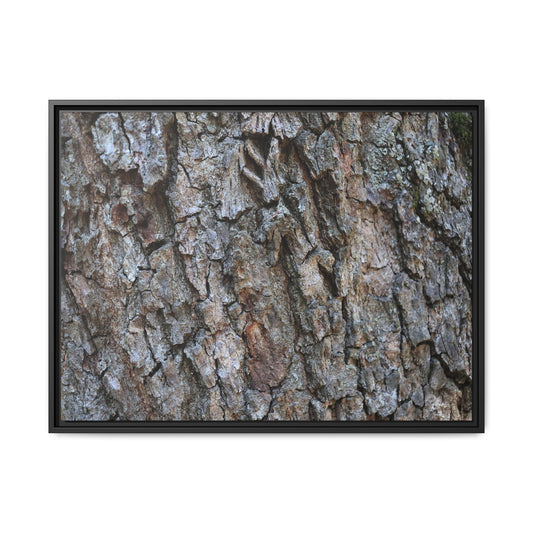 Woodland Skin - Unique Stretched Canvas Wall Art - Art By Earth
