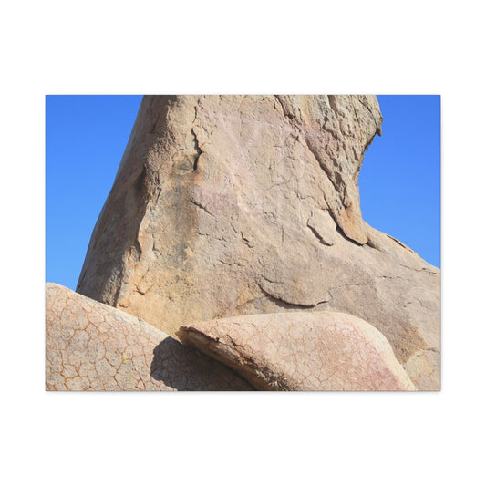 Boulder's Embrace - Unique Frameless Canvas Wall Art - Art By Earth