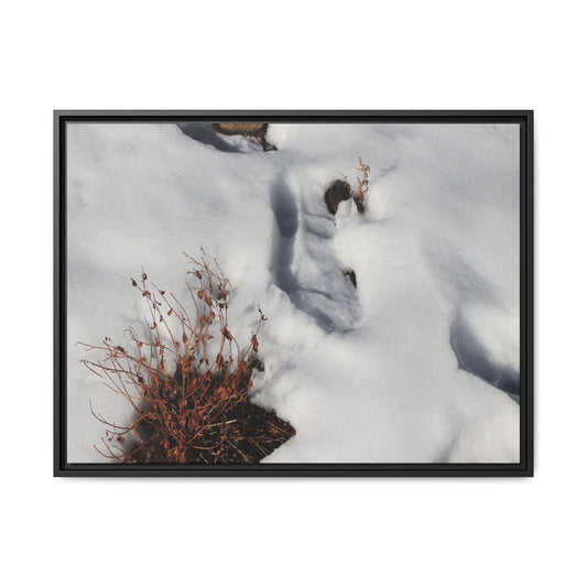 Frostbound Whispers - Unique Stretched Canvas Wall Art