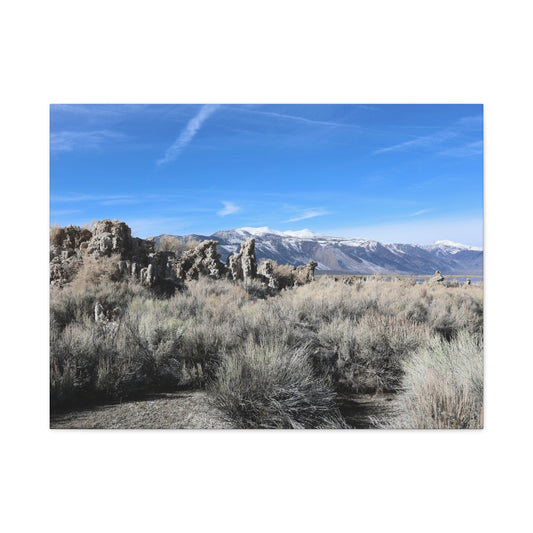 Echoes of Solitude - Unique Frameless Canvas Wall Art