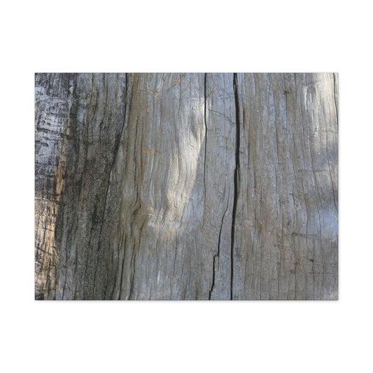 Time's Carved Patterns - Unique Frameless Canvas Wall Art