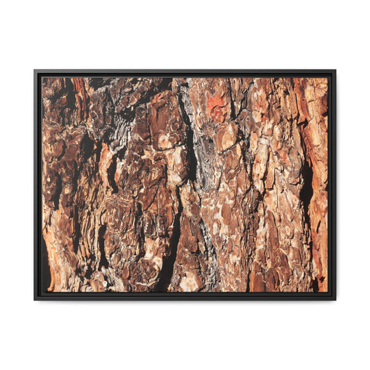 Nature's Rugged Canvas - Unique Stretched Canvas Wall Art