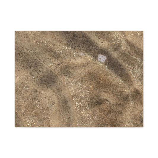 Sandy Shore Impressions - Unique Frameless Canvas Wall Art - Art By Earth