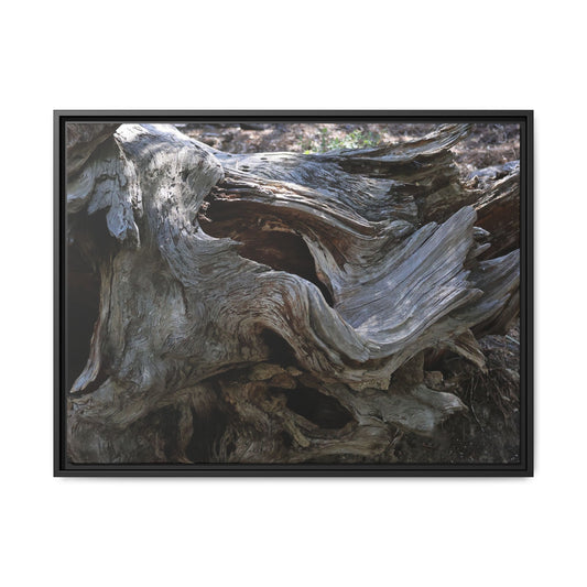 Twisted Memories - Unique Stretched Canvas Wall Art - Art By Earth