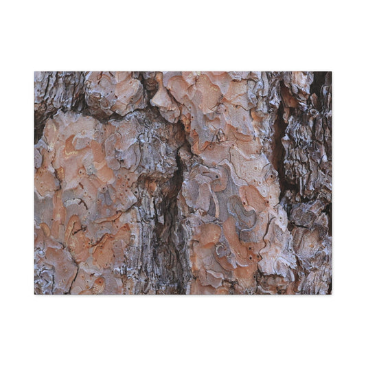 Arboreal Armor - Unique Frameless Canvas Wall Art - Art By Earth