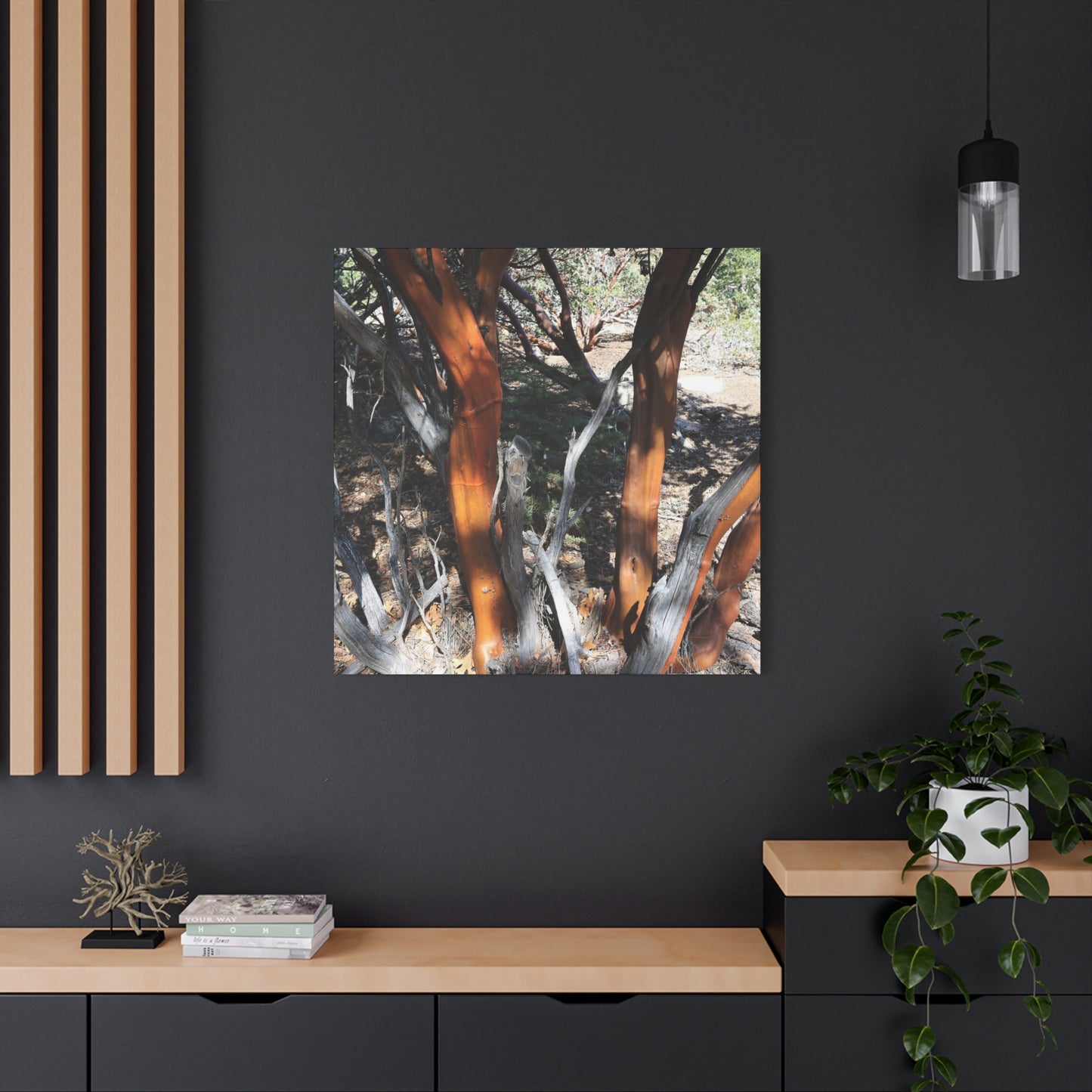 Peeling Bark of Ancient Trees - Unique Frameless Canvas Wall Art