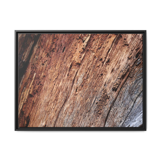 Time's Mark - Unique Stretched Canvas Wall Art - Art By Earth