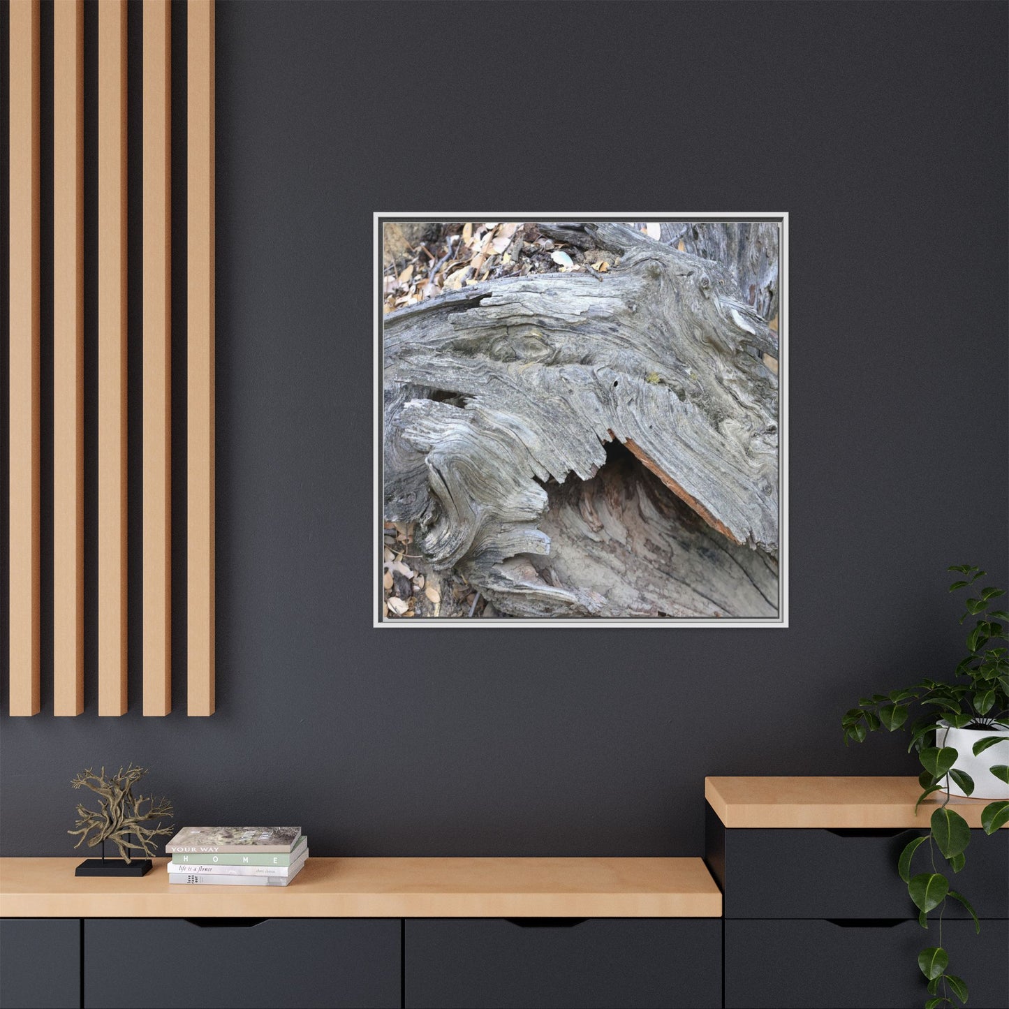 Driftwood Dreams - Unique Stretched Canvas Wall Art - Art By Earth