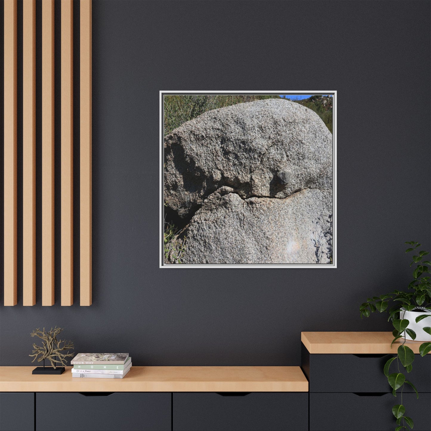 Stone Skull in Desert - Unique Stretched Canvas Wall Art