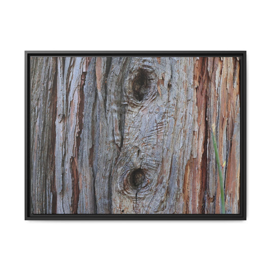 Knotty Nature - Unique Stretched Canvas Wall Art - Art By Earth