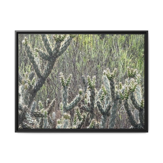 Prickly Paradise - Unique Stretched Canvas Wall Art - Art By Earth