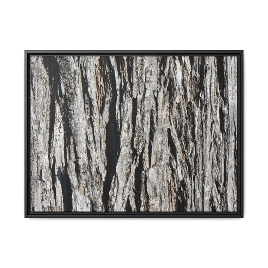 Bark Lines - Unique Stretched Canvas Wall Art - Art By Earth