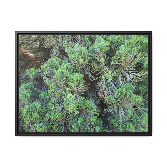 Verdant Whispers - Unique Stretched Canvas Wall Art - Art By Earth