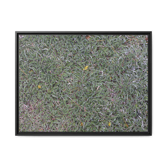 Grassy Texture - Unique Stretched Canvas Wall Art - Art By Earth