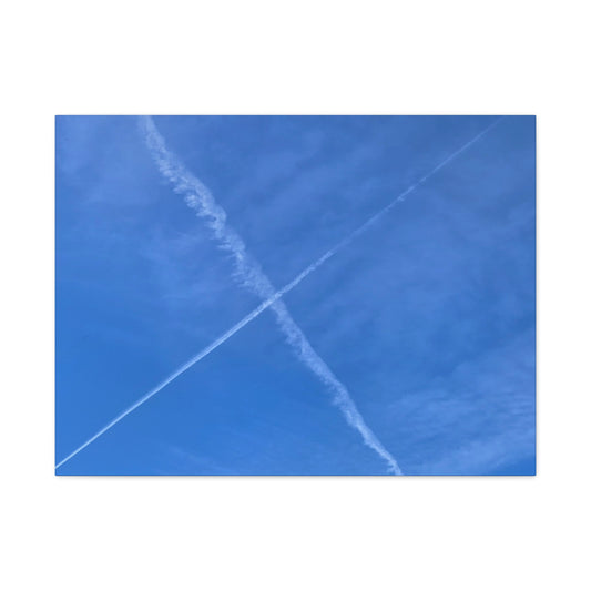 Crossing Paths - Unique Frameless Canvas Wall Art - Art By Earth