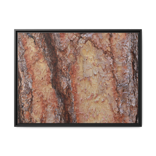 Rustic Rhythms - Unique Stretched Canvas Wall Art - Art By Earth