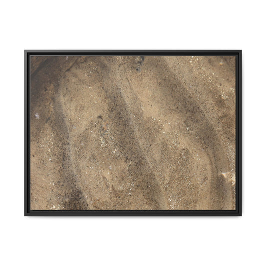 Tidal Pool Secrets - Unique Stretched Canvas Wall Art - Art By Earth