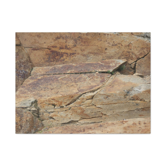 Rocky Terrain - Unique Frameless Canvas Wall Art - Art By Earth