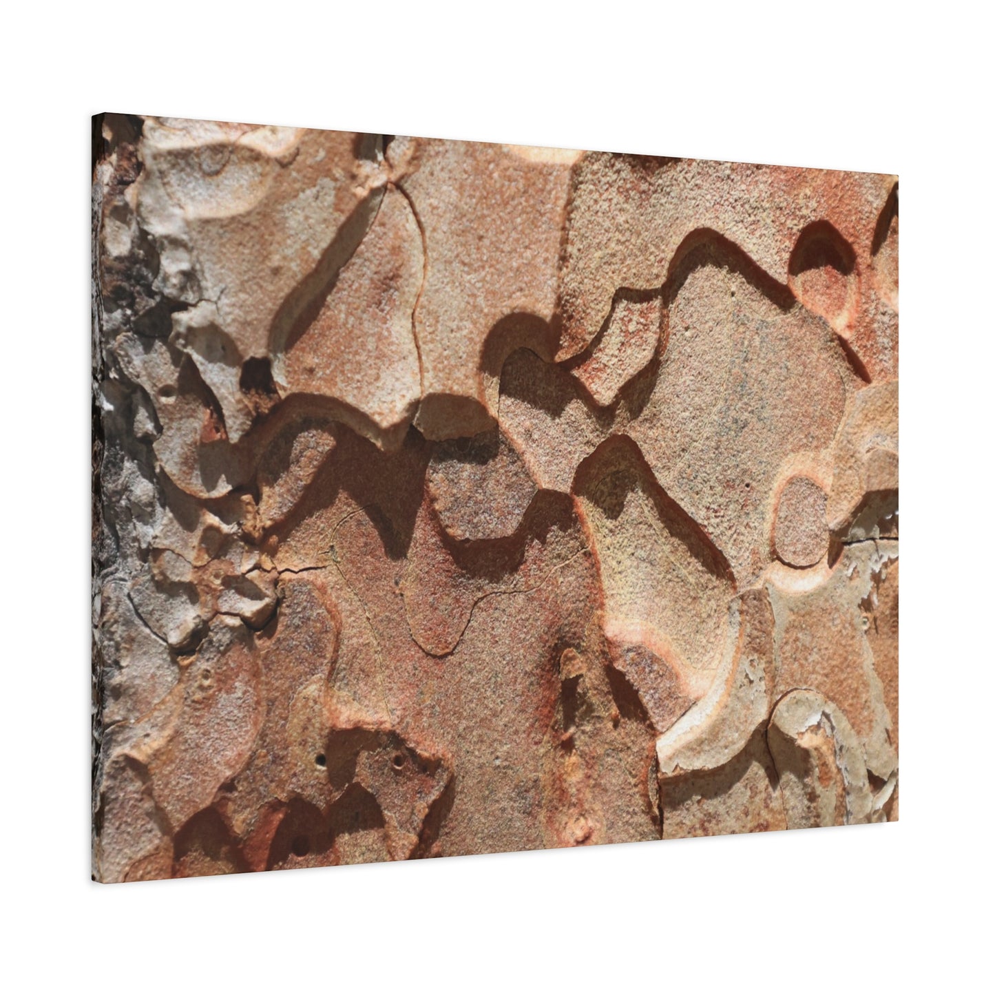 Terracotta Echoes - Unique Frameless Canvas Wall Art - Art By Earth
