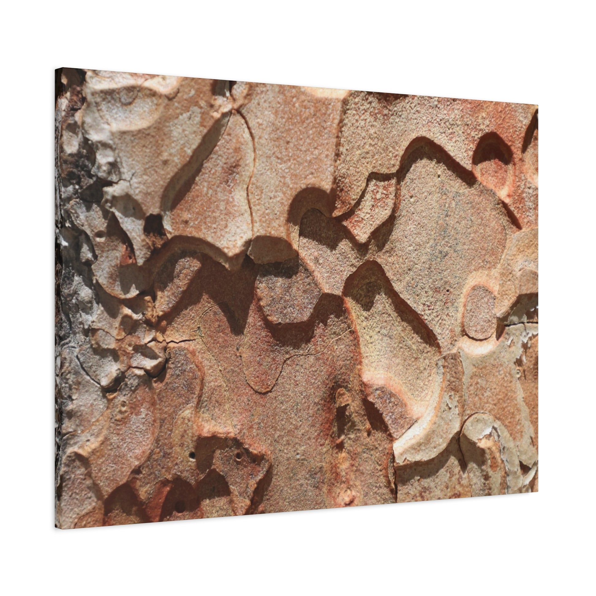 Terracotta Echoes - Unique Frameless Canvas Wall Art - Art By Earth