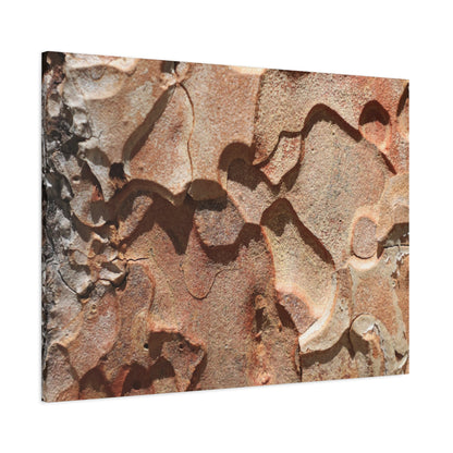 Terracotta Echoes - Unique Frameless Canvas Wall Art - Art By Earth