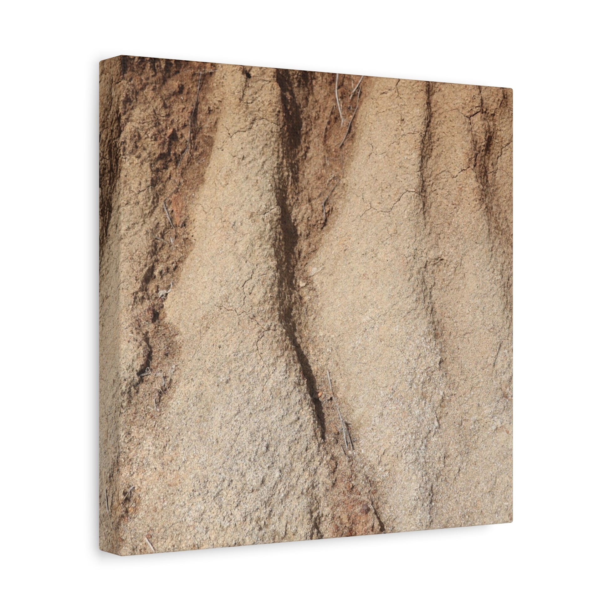 Weathered Earth - Unique Frameless Canvas Wall Art - Art By Earth
