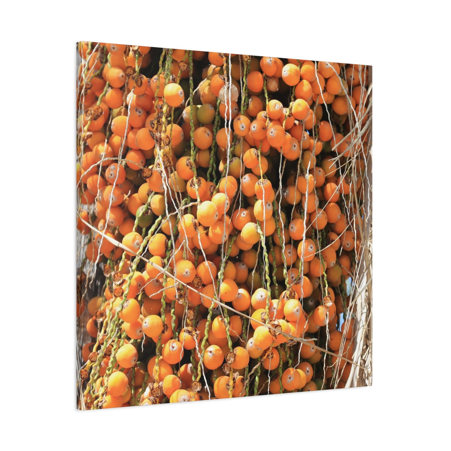 Orange Harvest - Unique Frameless Canvas Wall Art - Art By Earth