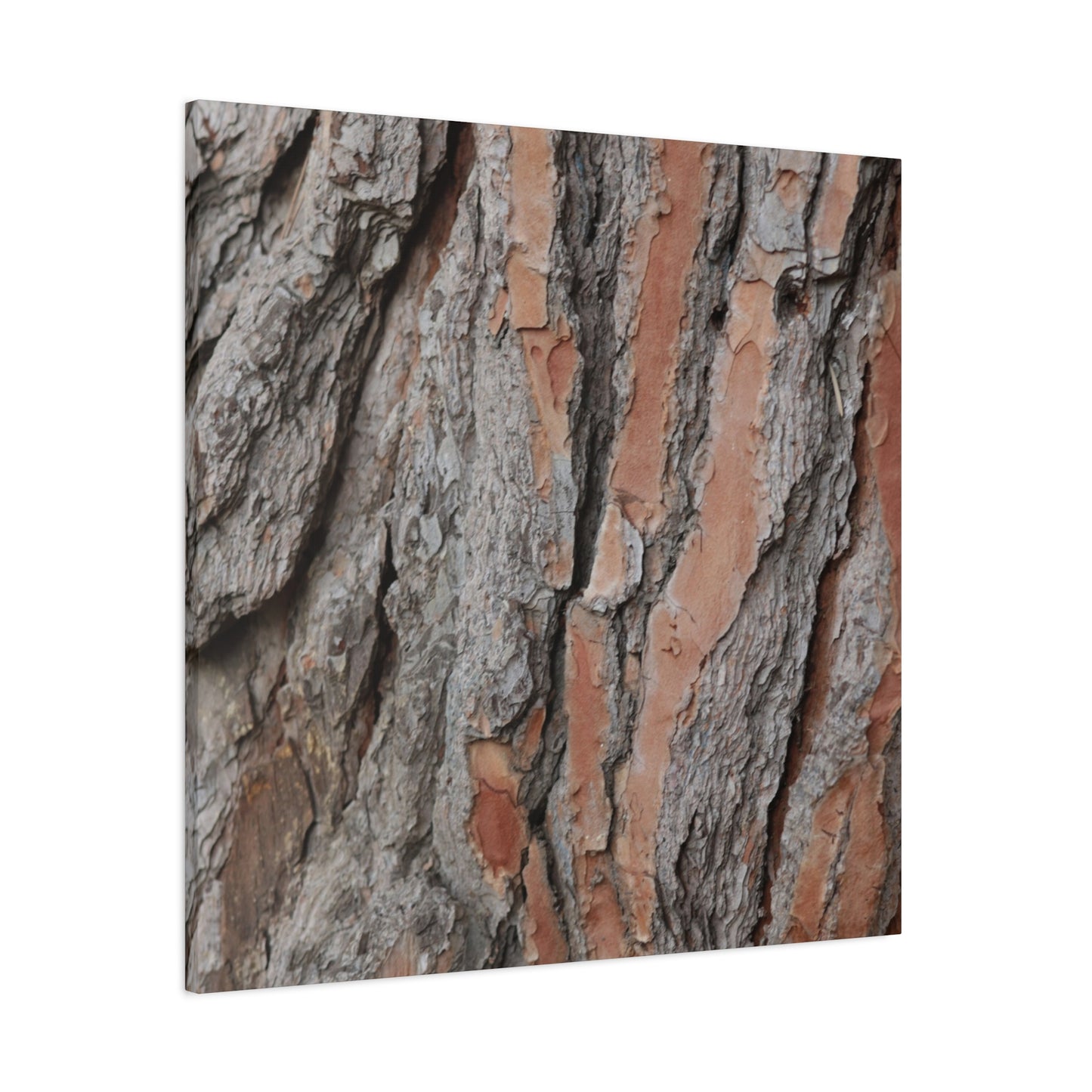 Fractal Landscape - Unique Frameless Canvas Wall Art - Art By Earth