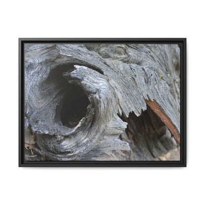 Bark's Labyrinth - Unique Stretched Canvas Wall Art - Art By Earth