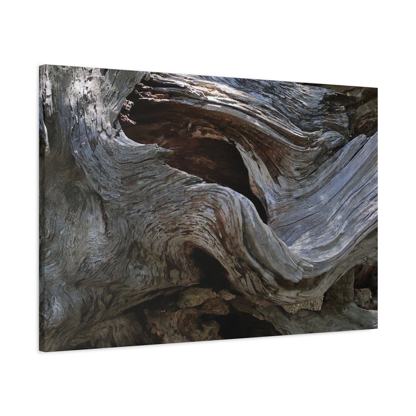 Twisted Fate - Unique Frameless Canvas Wall Art - Art By Earth