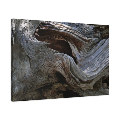 Twisted Fate - Unique Frameless Canvas Wall Art - Art By Earth