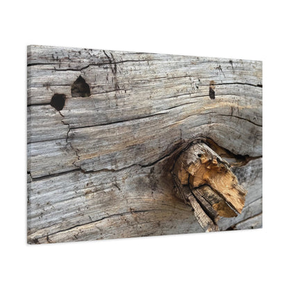Weathered Wood Portrait - Unique Frameless Canvas Wall Art - Art By Earth